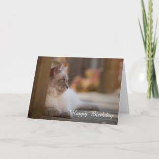 Ragdoll Birthday Card