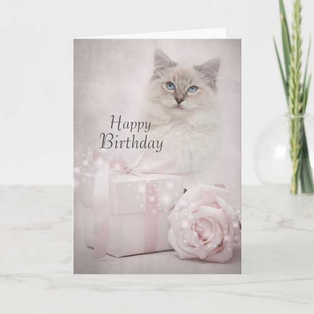 Ragdoll birthday card (Front)