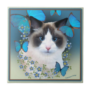 Ragdoll Blue Eyes Tiles
