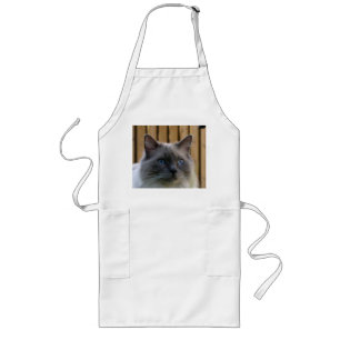 Ragdoll,_blue Long Apron