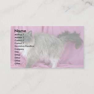 Ragdoll, blue mitted business card