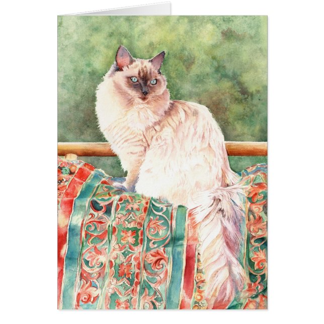 "Ragdoll" cat (Front)