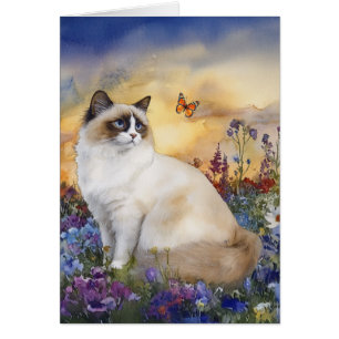 Ragdoll Cat - 5" x 7" Art Card