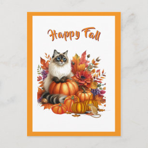  Ragdoll Cat and Pumpkins  Happy Fall  Holiday Postcard