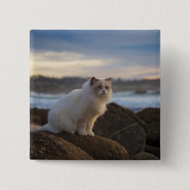 Ragdoll Cat At The Beach 15 Cm Square Badge (Front)