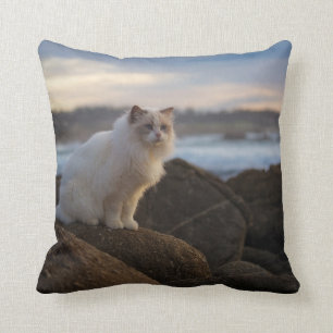 Ragdoll Cat At The Beach Cushion