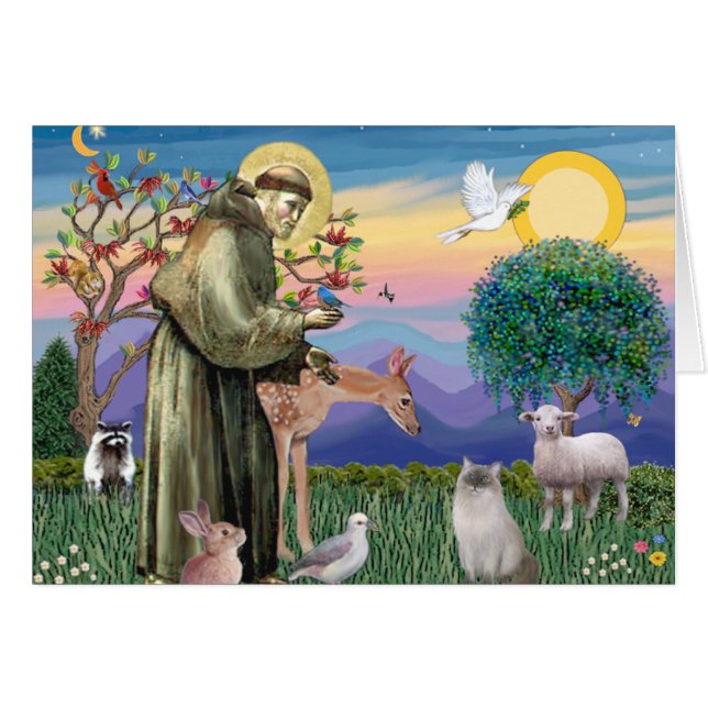 Ragdoll Cat (Blue Point) and Saint Francis (Front Horizontal)