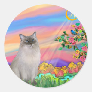 Ragdoll Cat (Blue Point) - Day Star Classic Round Sticker
