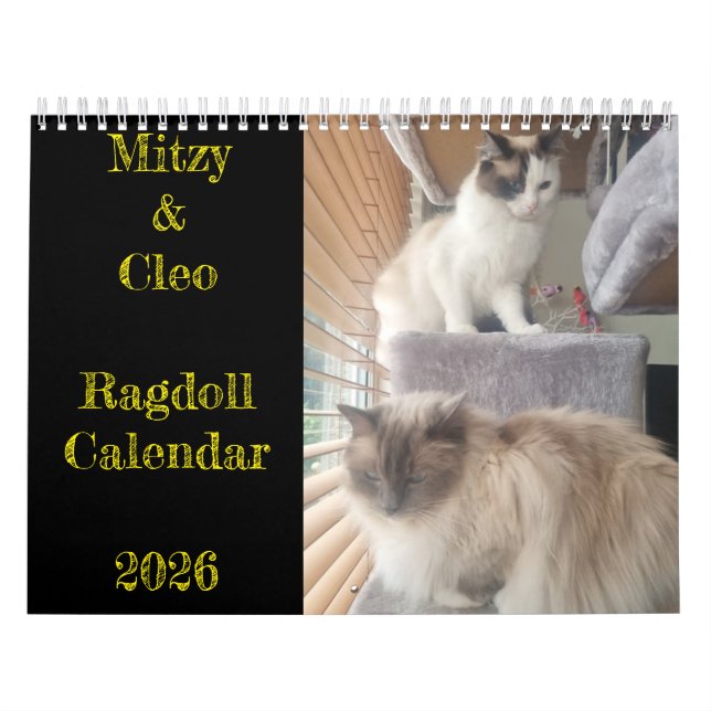 Ragdoll Cat Calendar (Cover)