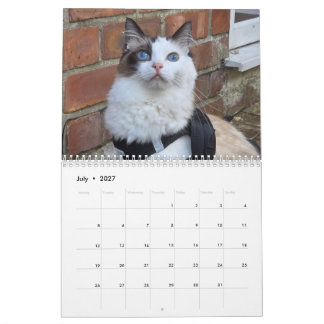Ragdoll Cat Calendar