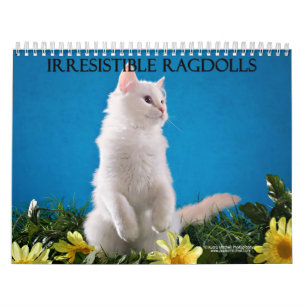 Ragdoll Cat Calendar