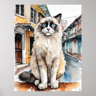 Ragdoll Cat - Cat Art Print