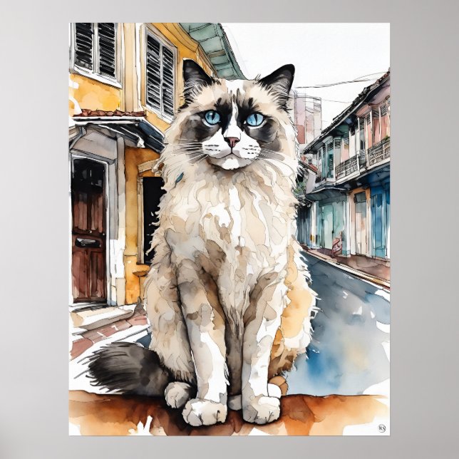 Ragdoll Cat - Cat Art Print (Front)