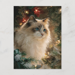 Ragdoll Cat Christmas Postcard