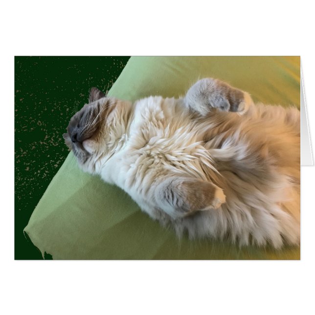 Ragdoll Cat Couch Potato (Front Horizontal)