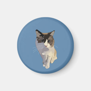 Ragdoll cat, Dusty Blue Magnet