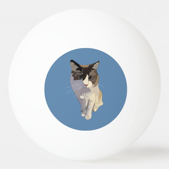 Ragdoll cat, Dusty Blue Ping Pong Ball (Front)
