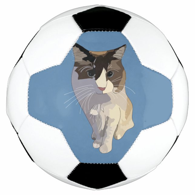 Ragdoll cat, Dusty Blue Soccer Ball (Front)