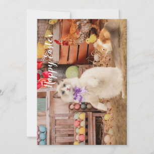 Ragdoll Cat Easter Greeting Card