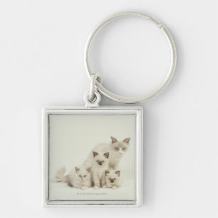 Ragdoll cat female with kittens key ring