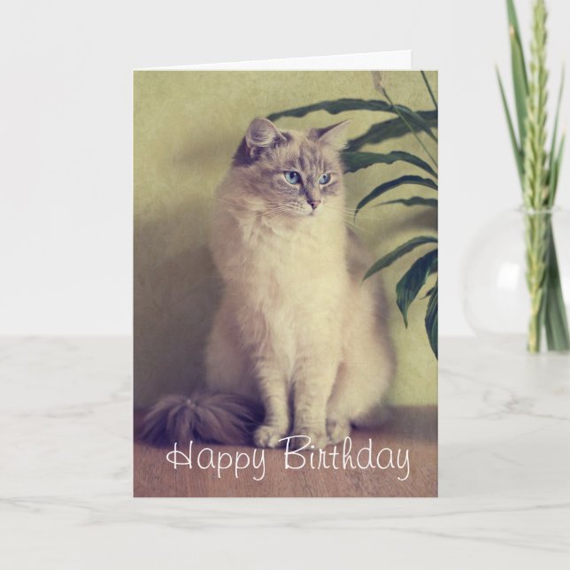 Ragdoll Cat Greeting Card (Front)