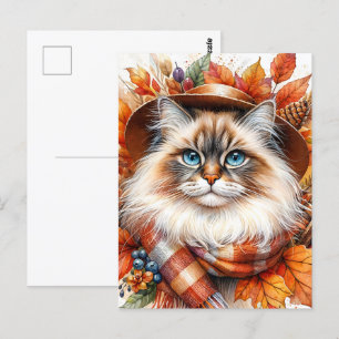 Ragdoll Cat In Autumn Scarf With Fall Leaves Postcard