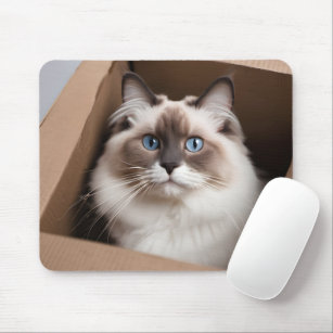 Ragdoll Cat in Cardboard Box Mouse Pad