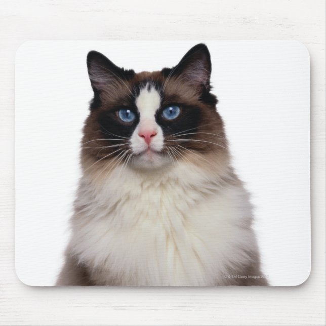 Ragdoll Cat Mouse Pad (Front)
