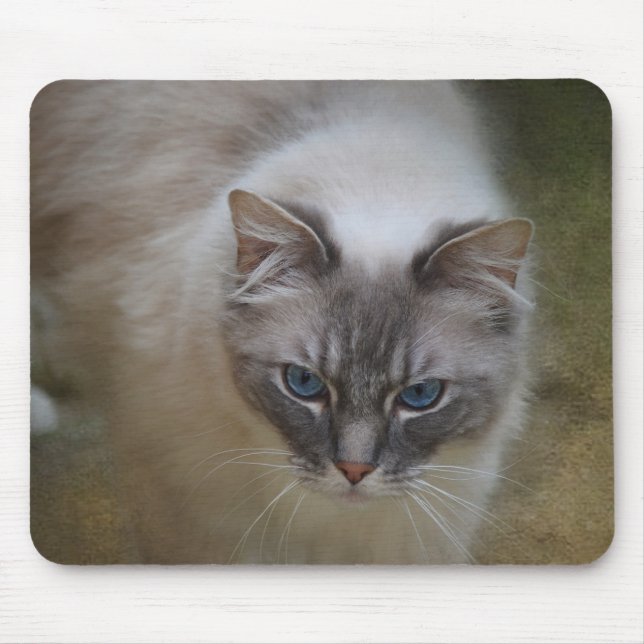 Ragdoll Cat Mousemat (Front)