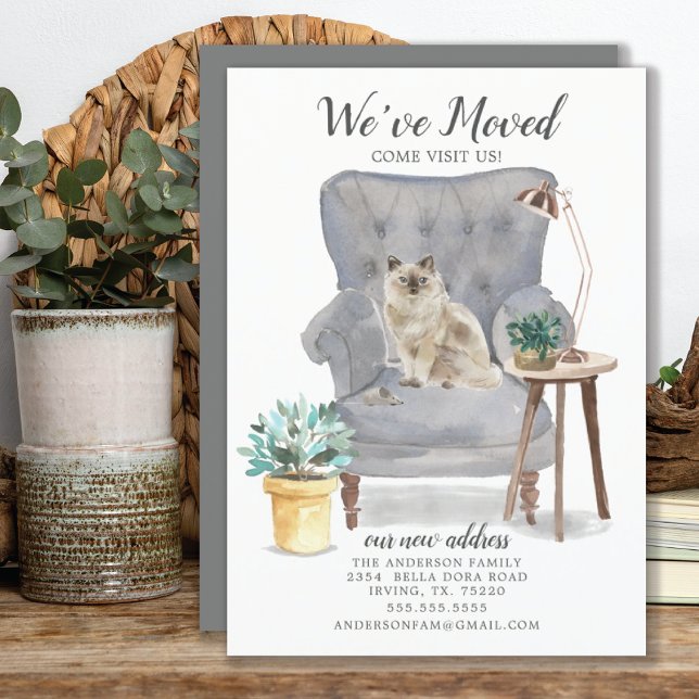 Ragdoll Cat Moving Announcement (Creator Uploaded)