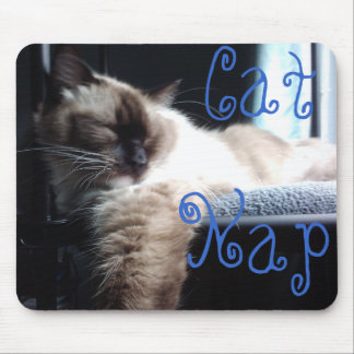 Ragdoll Cat Napping Mouse Pad