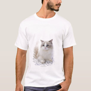 Ragdoll cat on computer keyboard T-Shirt