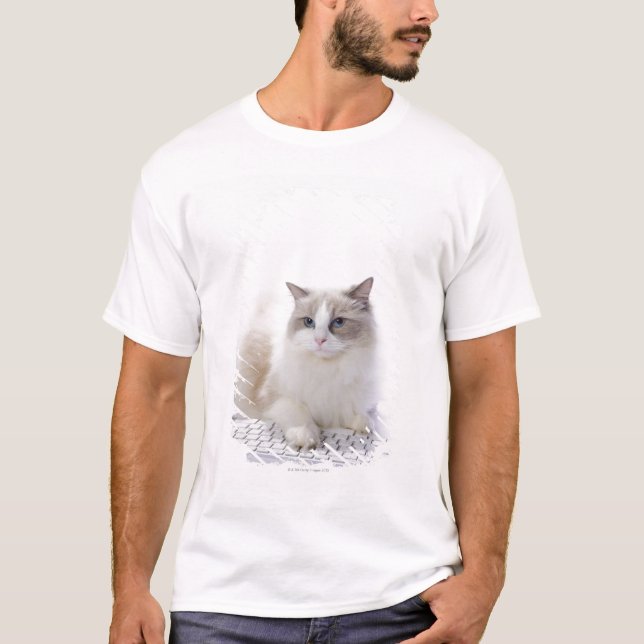 Ragdoll cat on computer keyboard T-Shirt (Front)