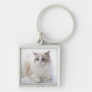 Ragdoll Cat on Keyboard Key Ring