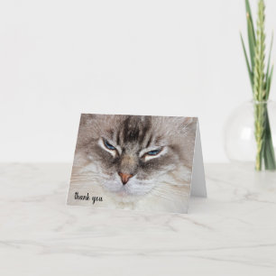 Ragdoll Cat Pet Care Thank You  Card