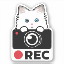 Ragdoll Cat Recording Vinyl Sticker camera warning