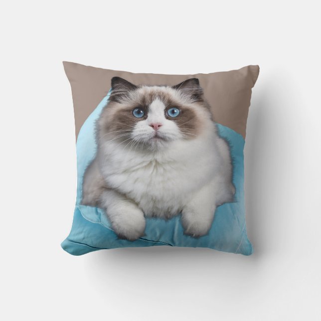 Ragdoll Cat Square Throw Pillow (Front)