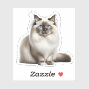 Ragdoll Cat Sticker