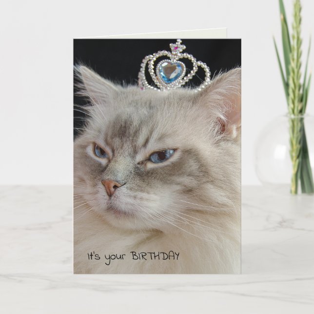 Ragdoll Cat with crown birthday Card (Front)