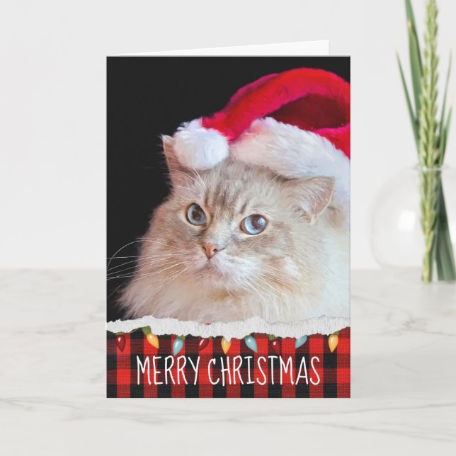 Ragdoll Cat with Santa Hat Card (Front)