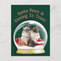 Ragdoll Cats in Snow Globe Christmas Greeting Card