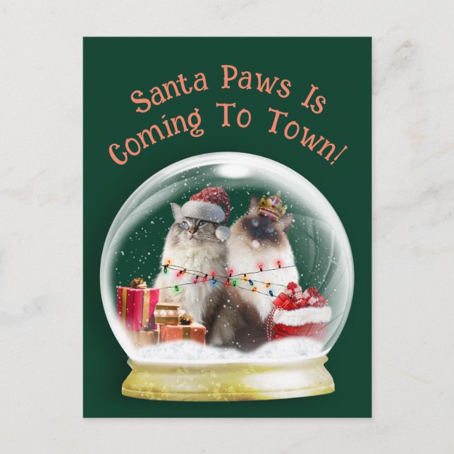 Ragdoll Cats in Snow Globe Christmas Greeting Card (Front)