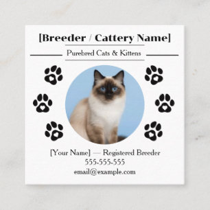 Ragdoll Cattery Customisable Cat Breeder Business Square Business Card