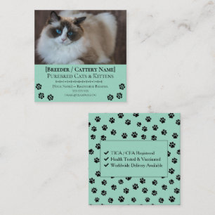 Ragdoll Cattery Customisable Cat Breeder Square Business Card