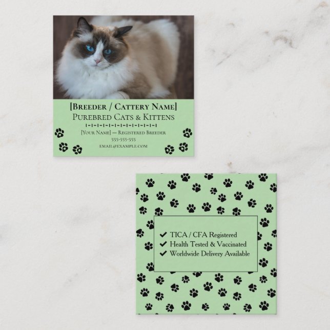 Ragdoll Cattery Customizable Cat Breeder  Square Business Card (Front/Back)