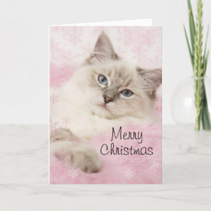 Ragdoll Christmas card