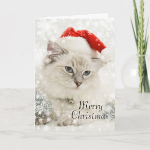 Ragdoll christmas card