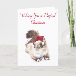 Ragdoll Christmas Card by Artist GV Hemmings