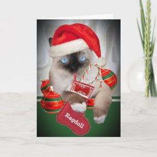 Ragdoll Christmas Cards
