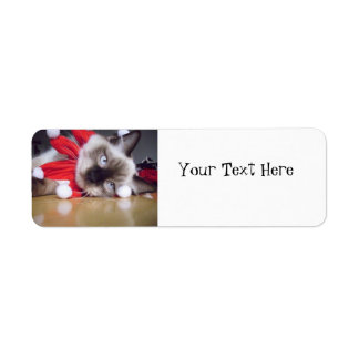 Ragdoll Christmas Return Address Label